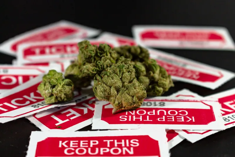 Taxed Out: What Cannabis Excise Laws Are Really Doing to the Way You Vape