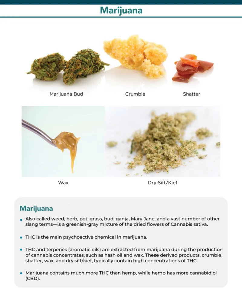 Ghost Hits and Bland Sessions: What's Killing Your Vaporizer's Flavor (And How to Wake It Back Up)