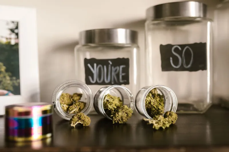 One Vaporizer Was Never Enough: How to Build a Smart Multi-Device Setup That Actually Makes Sense