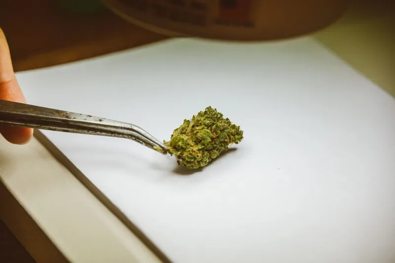 Stop Chasing Numbers: Why the THC Arms Race Is Ruining Your Vape Experience
